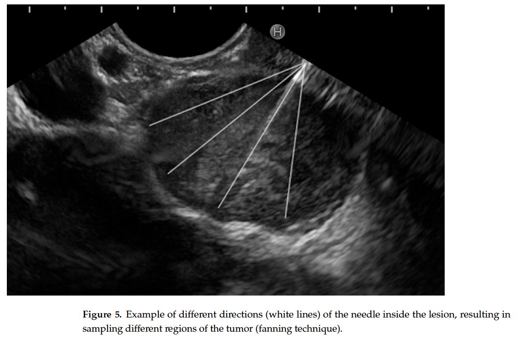 Jahnvi Dhar tweet media