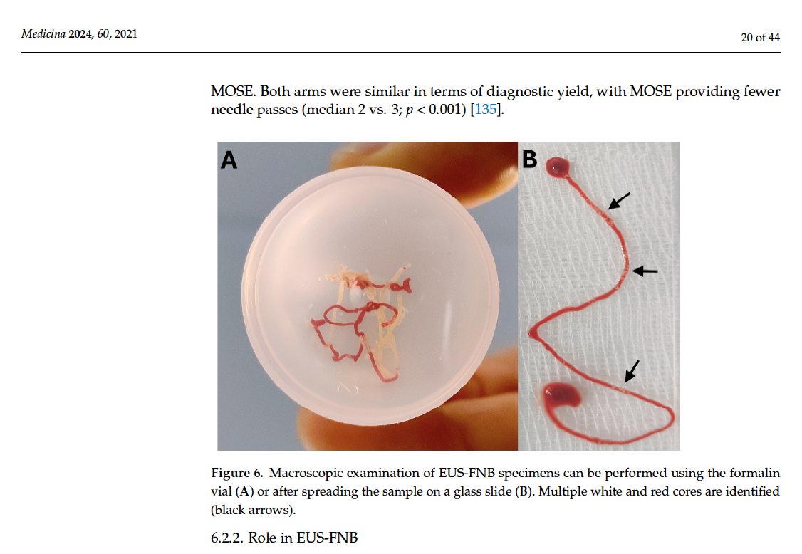 Jahnvi Dhar tweet media