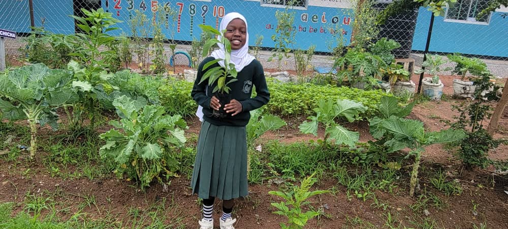 Tanzania Early Childhood Education and Care-TECEC tweet media