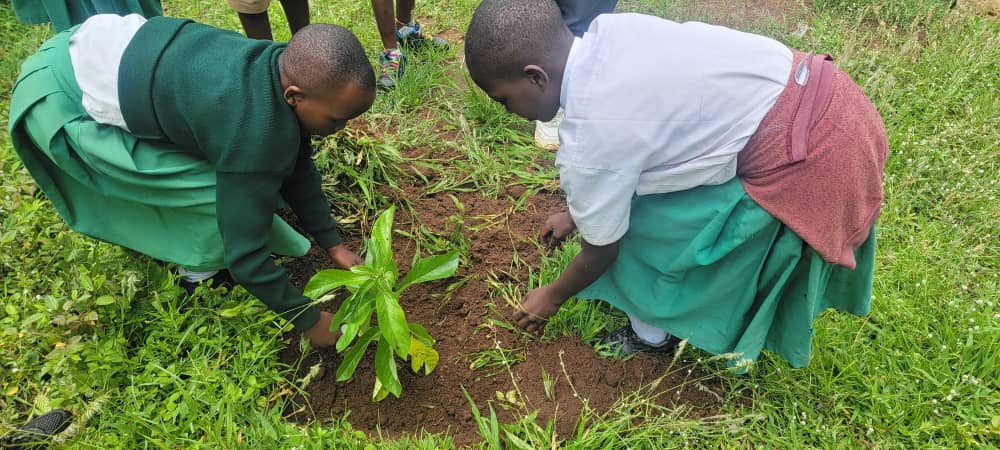 Tanzania Early Childhood Education and Care-TECEC tweet media