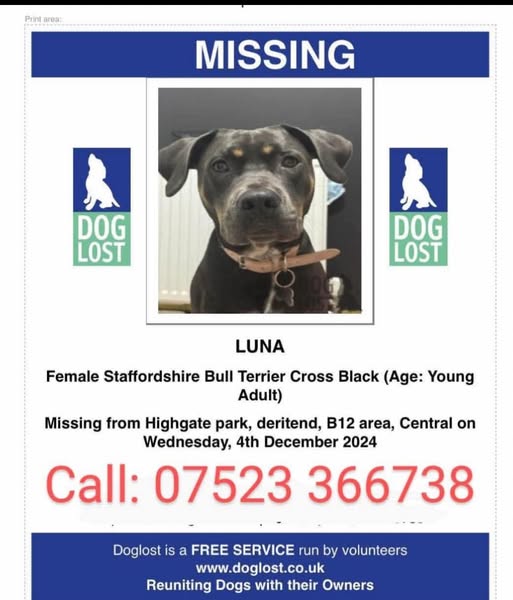 The_Animal_Team's tweet photo. βΌοΈ βΌοΈ AS EVER PLEASE DO NOT CHASE/SHOUT/APPROACH/TRY TO GRAB/ETC. βΌοΈβΌοΈ UPDATED POSTER β¬οΈ LUNA went #missing from #HighgatePark #Deritend #B12 area, #Birmingham on 4/12/24. She is a black #StaffieX with sandy beige paws & a white marking on chest. Tagged and chipped. Any sightings or information please call the number on the poster. DL: https://t.co/GTOljoyPD9 FB Group: https://t.co/8JBHP88HmZ #MissingDog #LostDog #DogsOfTwitter