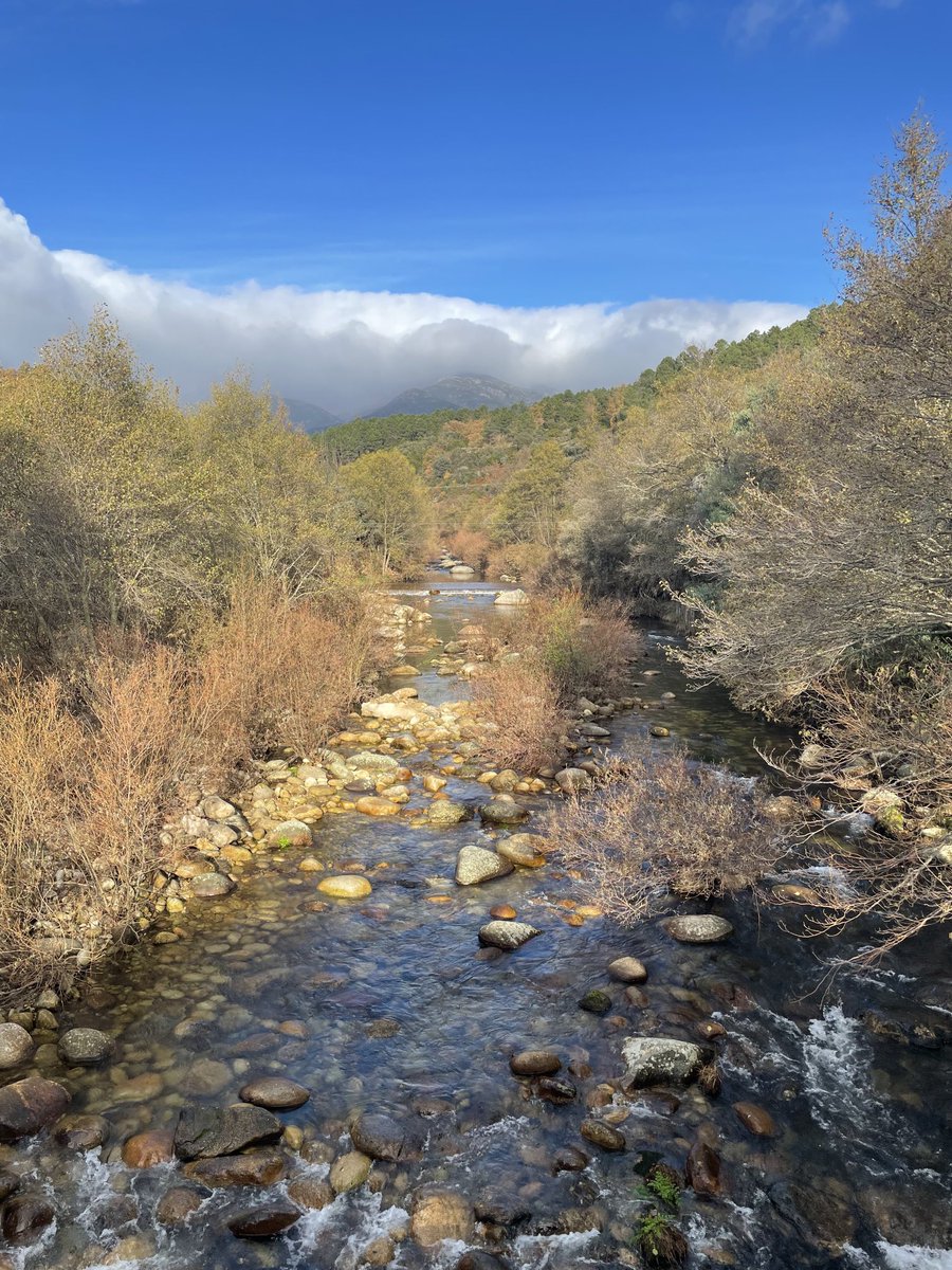 TheBirdInside's tweet photo. Hoy hemos subido a almorzar aquí. #gredos https://t.co/uQIcotO4P5