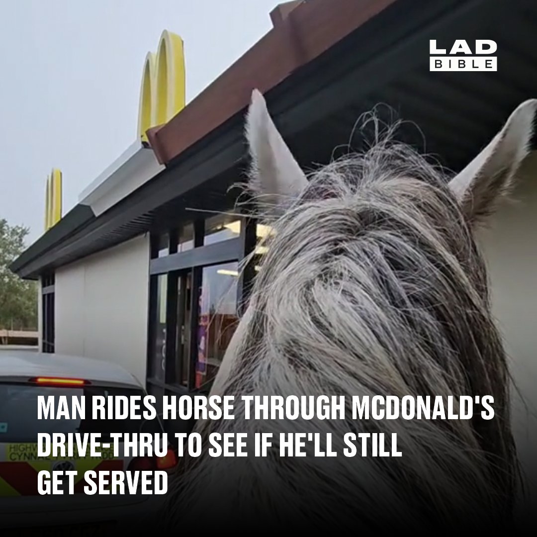 Neigh-ver seen anything like it 🤯🤣