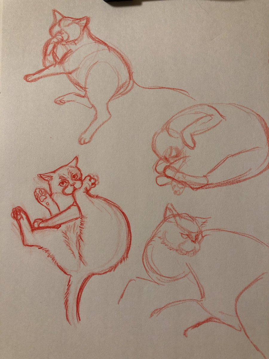 足をかみかみしてるポーズは
はじめてじゃ〜

下絵全然うまくいかん😭と嘆いたけど
いけた感