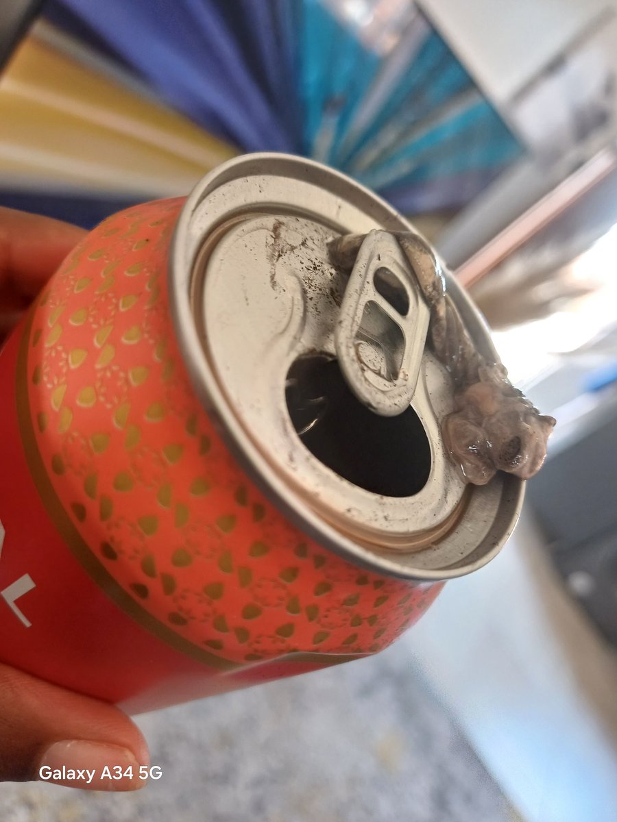 khumy17's tweet photo. @brutalfruitsa this is what I found inside my can this morning, I am scared for my health at this point 😕 😕 🙃 https://t.co/xbQtz1hKdw