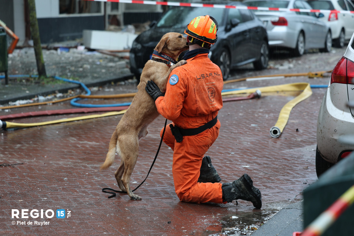 #DenHaag 

Deze foto! ❤️