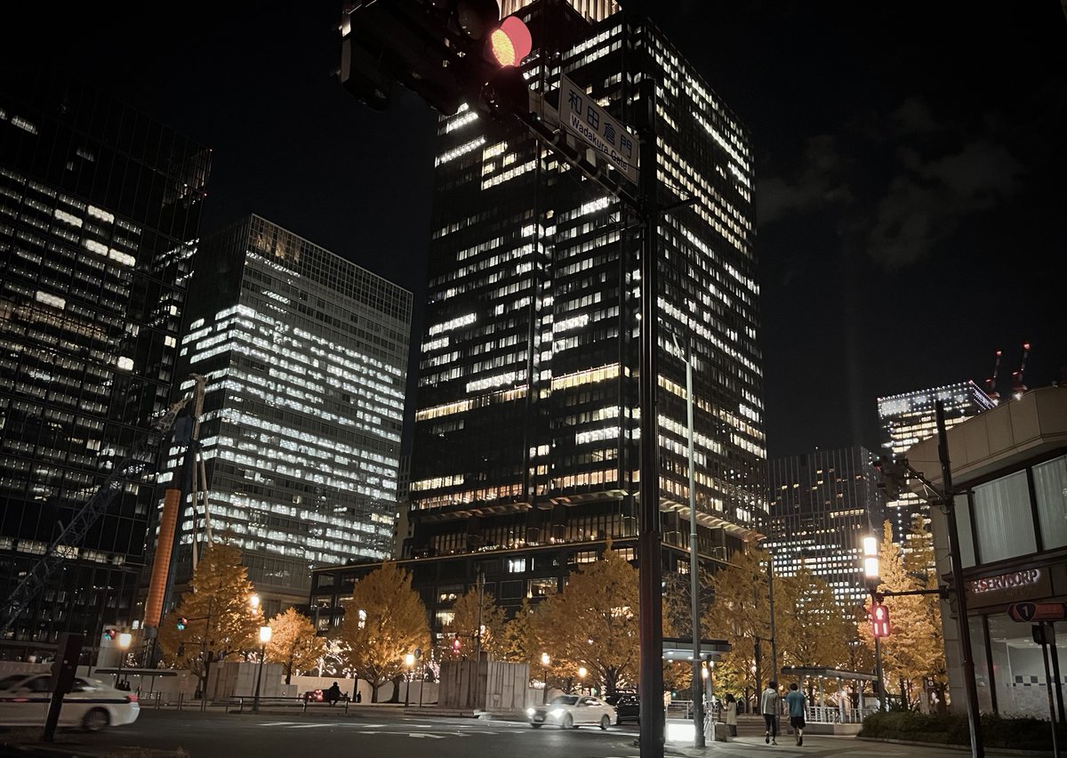 イチョウが見頃