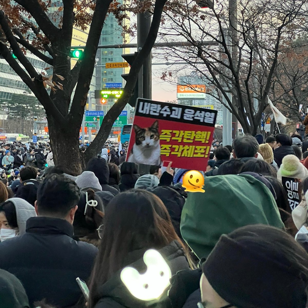 qwer999's tweet photo. 토끼와 고양이 https://t.co/WCraSop4fP