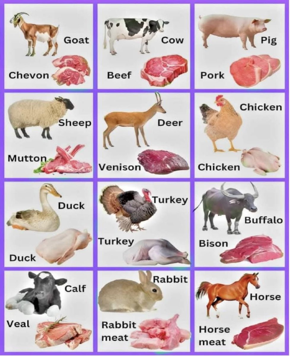 Knowiiiedgess's tweet photo. Types of meat https://t.co/K5hgfKKHoy