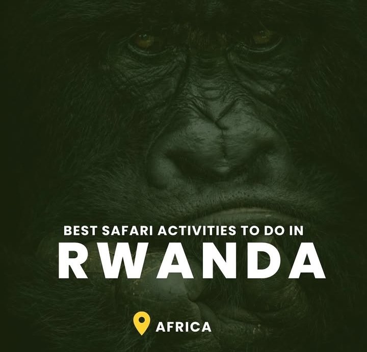 IDTrailsTnT's tweet photo. One of the best Safari activities to Do in Rwanda 
Visit : https://t.co/hnbQAjvhDt 
And Book your Adventure today!
#travel #VisitRwanda #idtrailstnt https://t.co/CS7pD52XlY