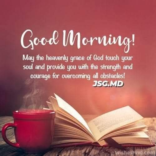 happy saturday friends I wish you a great weekend you follow me, I follow you