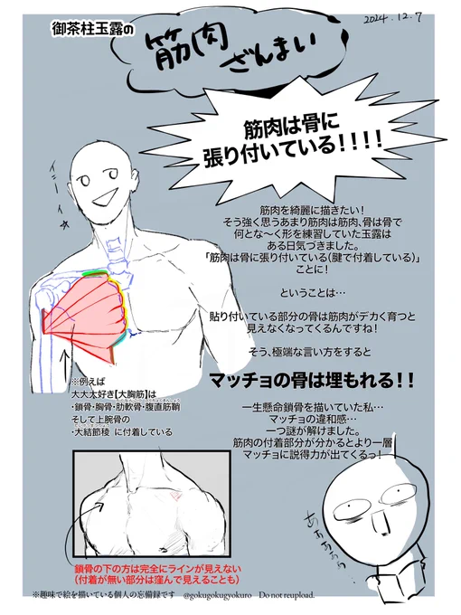 【筋肉ざんまい】_1 

『筋肉は骨に張り付いている!!』
ことに気づいたある日の忘備録。

これに気づくまでよく分からないまま適当に描いてたんだな… 