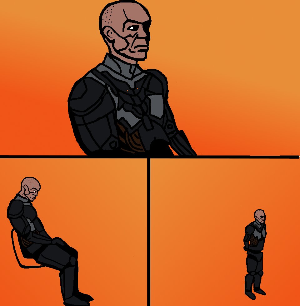 //tortie tweet media