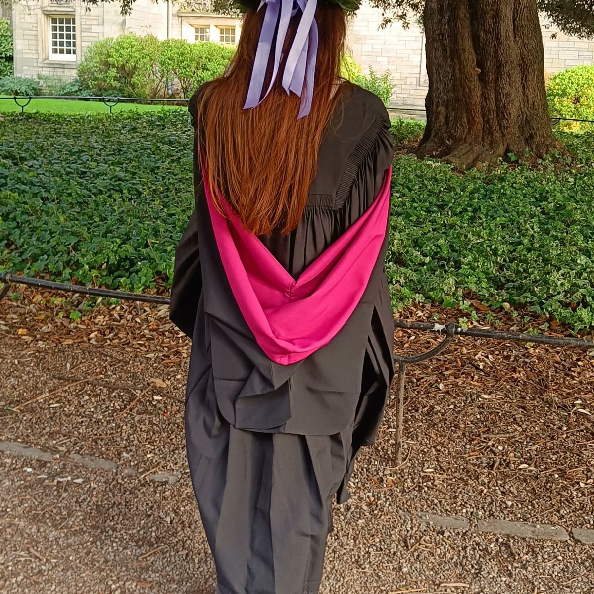 Roberto Steiner tweet media