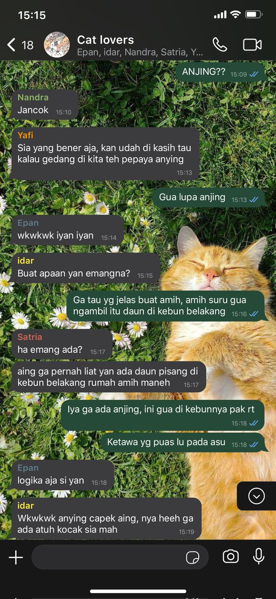 _justrubby's tweet photo. Teragedi daun gedang 
—
#catlovers 
Nct 00line few tweets au
By rubby https://t.co/xPq26Tvx20