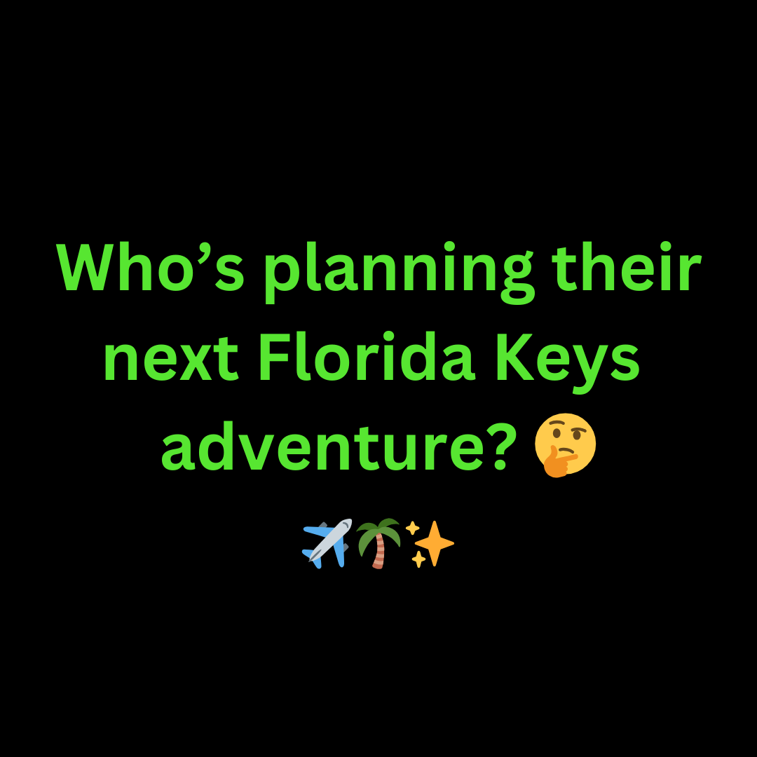 FlaKeysResorts's tweet photo. ๐๏ธ Whoโs planning their next Florida Keys adventure? โ๏ธ Whatโs on your itineraryโiconic landmarks, relaxing beaches, or foodie stops? Tell us your must-dos! ๐ดโจ
#FloridaKeysTravel #KeyWestBound #IslandLife #FloridaKeysMagic #TravelInspo https://t.co/K5qHgB65cR
