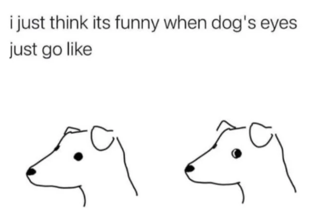 WholesomeMeme's tweet photo. https://t.co/5UJQpJnL7p