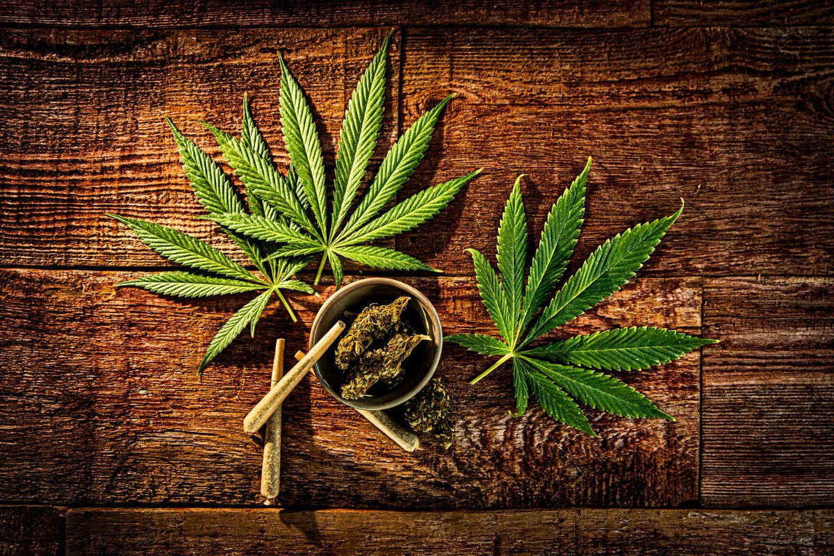 PennCapitalStar's tweet image. Pennsylvania cannabis legalization bill to propose state-run dispensaries with room for private businesses buff.ly/4f57U4Q via @PennCapitalStar