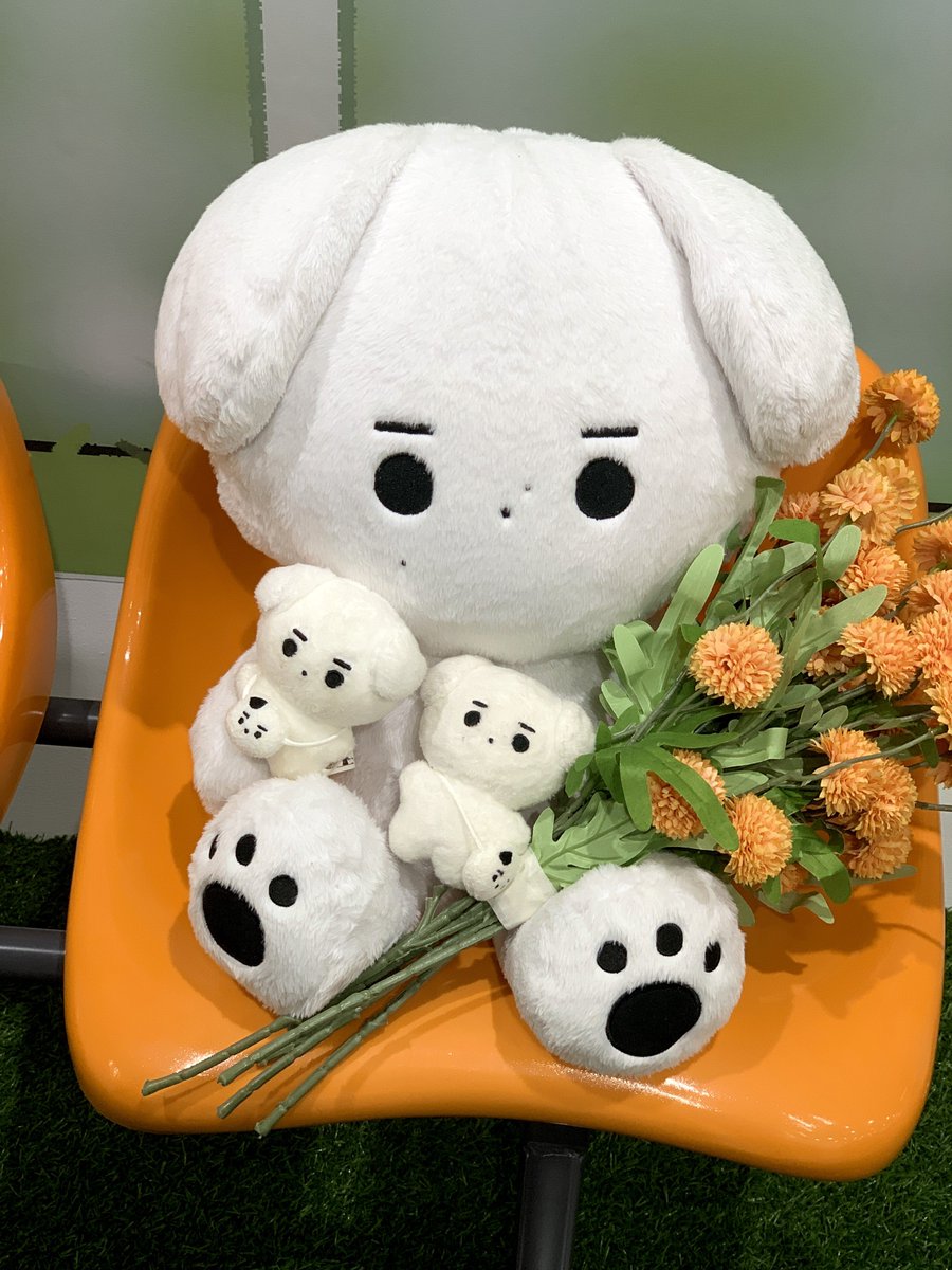 charmifresa's tweet photo. 훈댕이 가족사진 ^^♡ https://t.co/pD6ZpaJ2QN