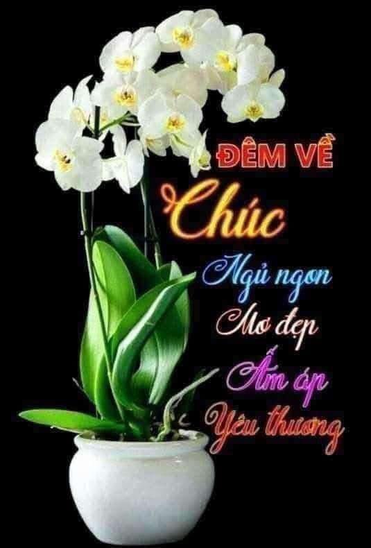 Holding my soul in my heart
Sleep well, remember to lie still
Send a kiss in your sleep
For the silent sorrows.

❤️❤️🌟good night 🌟❤️❤️