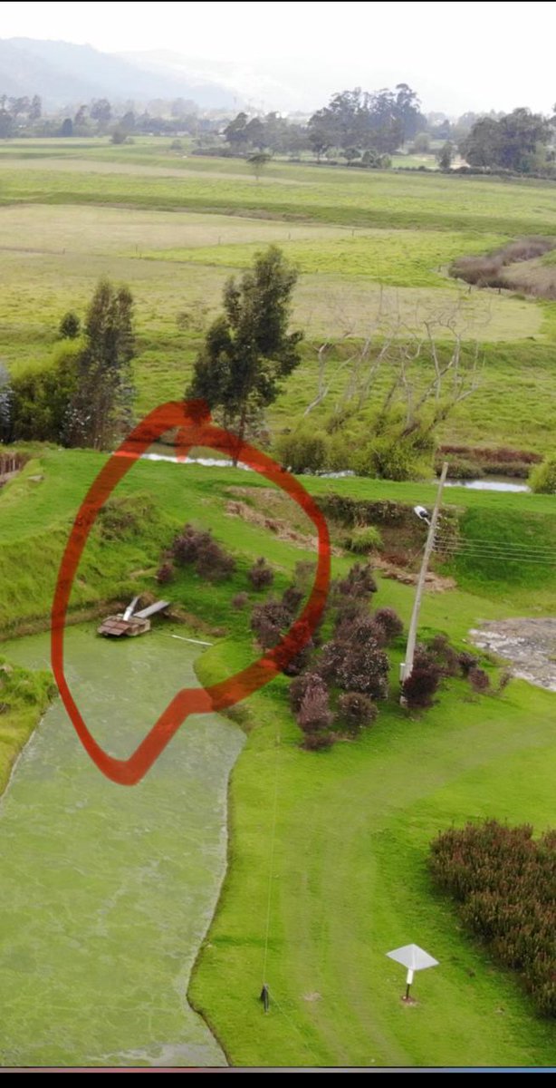 RuraliaUrbana's tweet photo. En horas de la tarde del 06/12/2024 realizó visita @AsuRioComunica: verificadores de Sentencia Río Bogotá, al Humedal El Cerrito, uno de los cuerpos protegidos del complejo de Humedales de Los Andes de Chía Cundinamarca, conocido como Canal de Proleche.
A esta actividad de verificación, dada la denuncia de contaminación y situación amenazante que sobrelleva este brazo del #SOSHumedalDeLosAndes al que le quieran pasar por encima el marrullero trazado PARA Troncal de Los Andes, asistieron funcionarios de la Administración Municipal, entre ellos la Señora Secretaria de Ambiente, Eilen Lizeth Varela Bello, un delegado de @EEmserchia y @CAR_Cundi, así como al inicio de la visita de campo, pues no se quedó hasta el final de la misma, estuvo el Inspector 4 de @PoliciaColombia/ Alcaldía Chía. Igualmente asistieron los Señores Veedores del Agua Potable de Chía @acciondirekta como de Auditorías y Veedurías Río Bogotá @enriqueluceroj1, Contraparte Jurídica @mmustafal y nuestro Investigador.
(Foto 4 combinada referencial del recorrido)
https://t.co/S8LjCNLS6r
👆🏻👁🗨
También estuvo presente @MinAmbienteCo con el Ingeniero Ambiental delegado David Acosta, el cual afirmó, categóricamente, que el Canal de Proleche definitivamente es un Humedal y solicitará que el Área de Protección se vincule al tema.
Así mismo, en desarrollo del recorrido y culminando la verificación, se notaba incómoda a la Secretaria de Ambiente Varela junto a uno de los funcionarios de la Alcaldía, Donoso, tratando de hacer ver que no habían anomalías y en tono burlesco buscaban desacreditar el objeto de visita dado que el Verificador Pablo Carrizosa no había logrado constatar en vivo y en directo las irregularidades de los predios Mongibello y La MG con descargas que han propinado al Canal de Proleche (Humedal El Cerrito) y al Río Bogotá.
https://t.co/6KWlZZGFrJ
Se deja constancia de fotos en áreas de las conexiones erradas y las plataformas de bombeo ilegales.
Igual se tienen varias horas de videos que registran las descargas hechas desde los predios Grossman (La MG) y los Esquenazi (Mongibello).
(3 fotos de muchas más)
Todo se ha enviado georeferenciado al Despacho del @tacundinamarca Sección, Sub Sección 4, HM Nelly Villamizar y a su equipo verificador.
Contextos a resolver respecto al objetivo de verificación:
1. Si no está contaminado el Canal de
Proleche como dice el EIA de @Accenorte y no se están vertiendo aguas negras de dos barrios de Chía como lo afirma el mismo estudio, esas dos falsedades conducirán al rechazo de la solicitud de cambio de trazado por parte de @ANLA_Col y en el mejor de los casos, al archivo de la misma.
2. Si por el contrario, el estudio de ACCENORTE tiene razón y le sumamos las fotos como videos que se tienen (acervo probatorio) de las conexiones erradas, la Secretaria de Ambiente Municipal Varela tendrá que responder ante @FiscaliaCol por sus omisiones como narrativa temeraria oficial.
Ojo... El Humedal de los Andes, su complejo de cuerpos de agua protegidos, incluyendo el brazo conocido como Canal de Proleche, son intocables !!
Ya les correspondió mover el espurio trazado Ecocida de la Troncal de Los Andes en un tramo de 1 kilómetro con costo de $90 mil millones (valores de ACCENORTE) y una demora de 6 años.
Atención a estos 6 posteos:
https://t.co/TZwKHXCkbg
https://t.co/RvAMlcJ0Tx
https://t.co/5UWePLEoIY
https://t.co/c0SyfG0NQN
https://t.co/EiXqt0oUhM
https://t.co/IkhG1WTBbp
👆🏻👁🗨
Ahora, por cuenta de otro Humedal que pretenden seguir desconociendo del Complejo de Humedales de Los Andes y/o Samaria, como lo es El Cerrito (Canal de Proleche) tendrán que esperar otros años, y respecto al tema de los 114 mil metros que @ANI_Colombia le esquilmó a Chía en acuerdo subrepticio con la @AlcaldiaChia: primer gobierno de @LeoA_Donoso (2016/2019), serán vari@s funcionari@s del Contubernio los que tendrán que responder ante la justicia igualmente ante múltiples marrullas:
https://t.co/DJIu3yUTWE
@RELE_CIDH
@dw_espanol