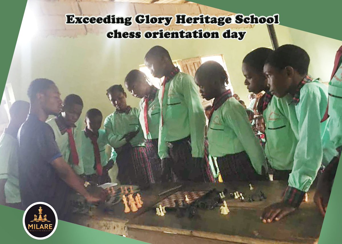 Started a chess education campaign for schools in my community
