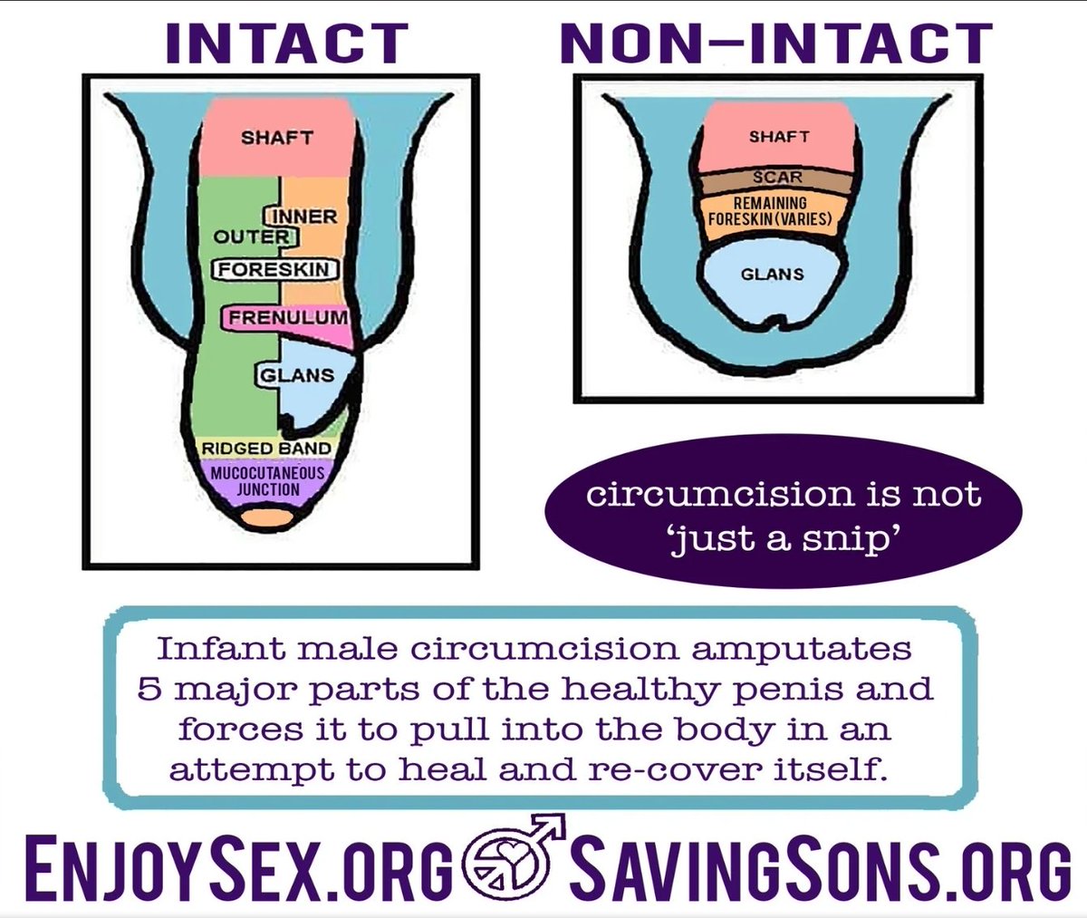 endmgm's tweet photo. @basedsesh I hate circumcision and the scum that force it on children. If you need a hand digging let me know. Maybe we can go extra deep "TEAMWORK" MAKES THE DREAMWORK https://t.co/4wJ6x0hw0P