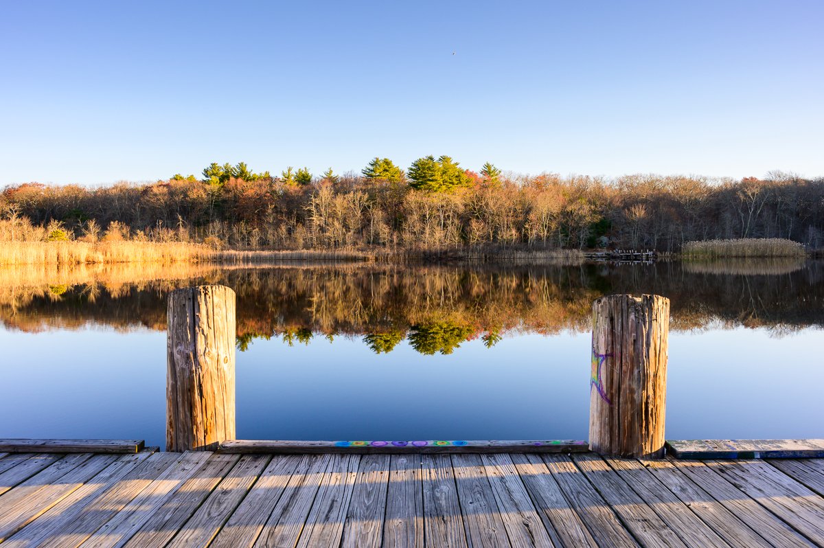 Leecosta's tweet photo. Sunrise over Turtle Pond in Stony Brook Reservation. #Sunrise #TurtlePond #StonyBrookReservation #NaturePhotography #LandscapePhotography #NewEnglandViews #ScenicSunrise #Boston https://t.co/sDpcNaBtsH