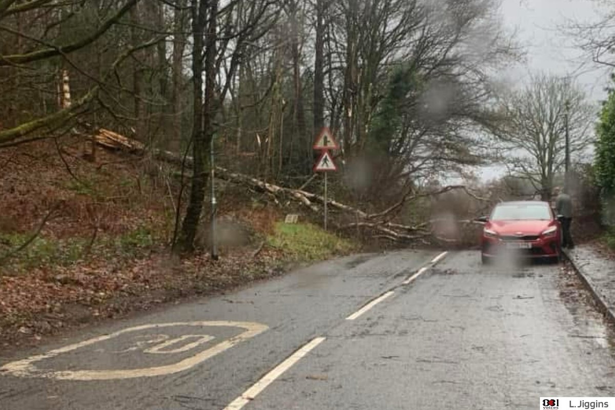 B31Voices's tweet photo. ⚡️🌧 #SWBrumStormWatch 🌧⚡️
#StormDarragh
Tree blocking #BarntGreen Lane #CoftonHackett between Ten Ashes Lane and Cofton Chrurch Lane. AVOID
#SWBrumTRAVEL #Birmingham
#BirminghamUK
#B31Voices #BVoices https://t.co/LSULzUYy0D
