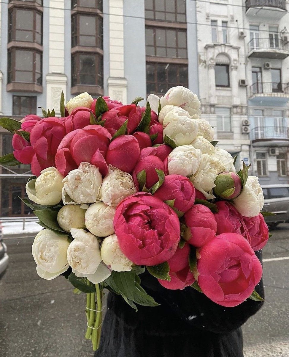 çiçek günlüğü (@cicekgunlugu) on Twitter photo 