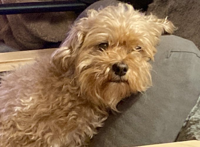 どこか人間っぽいだろ? 