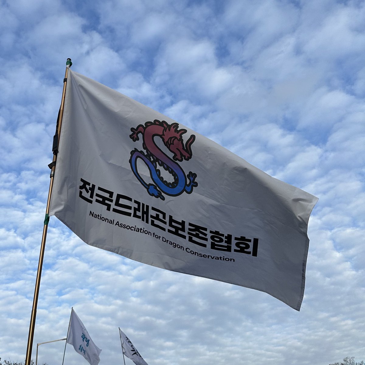 오늘 인상 깊었던 깃발
옆에 계시던 아저씨가 “나 용씨인데!” 하시니까 깃발측 분들께서 “보존해드릴게요” 하셔서 너무 웃겼음… 즐거웠다