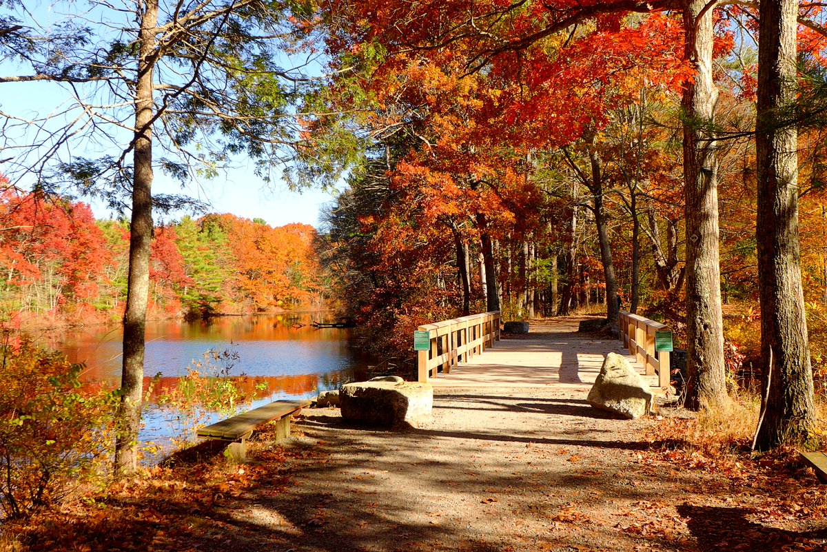 VisitingNewEngland - Eric's Stories of New England (@newenglandinfo) on Twitter photo Bring your favorite Walpole scenes to life - shop high-quality prints now for that perfect gift or to transform your space: smugmug.com/app/organize/W…
#WalpoleMA #giftideas <a href="/TownofWalpole/">Town of Walpole</a> <a href="/jwcw_walpole/">Junior Woman's Club of Walpole</a> Bring your favorite Walpole scenes to life - shop high-quality prints now for that perfect gift or to transform your space: smugmug.com/app/organize/W…
#WalpoleMA #giftideas <a href="/TownofWalpole/">Town of Walpole</a> <a href="/jwcw_walpole/">Junior Woman's Club of Walpole</a>