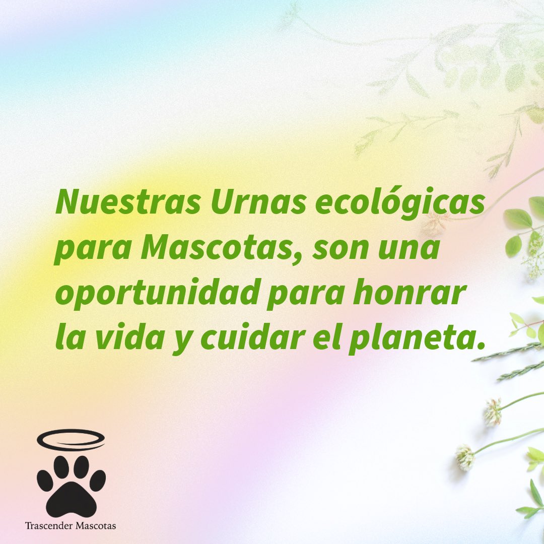 trascender2024's tweet image. 🌱 Un adiós con amor y respeto por la naturaleza 🌱#Urnas #Veterinarias #Mascotas #Envíos