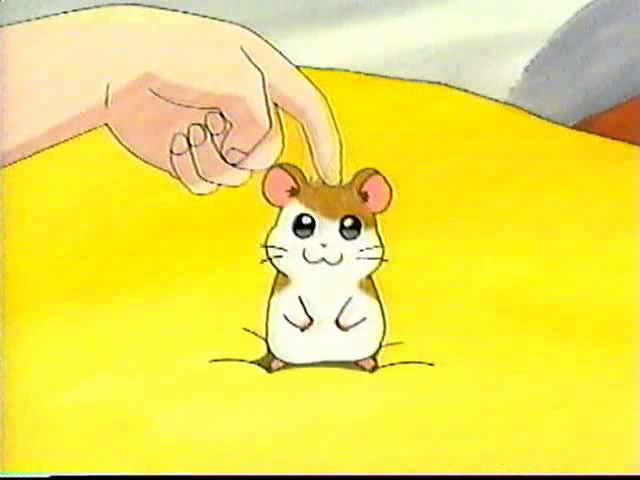 とっとこ ハム太郎アニメでちゆ! Tottoko Hamtaro Anime-dechu (1999