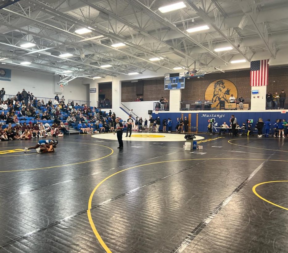 HutchActivities's tweet photo. The 2nd Annual Hutch/BLHS Buffalo Wild Wings girls wrestling tournament is underway in Hector today. Thanks to the BLHS wrestling community for helping us out today and hosting this great event. https://t.co/6g8e5OmRl5