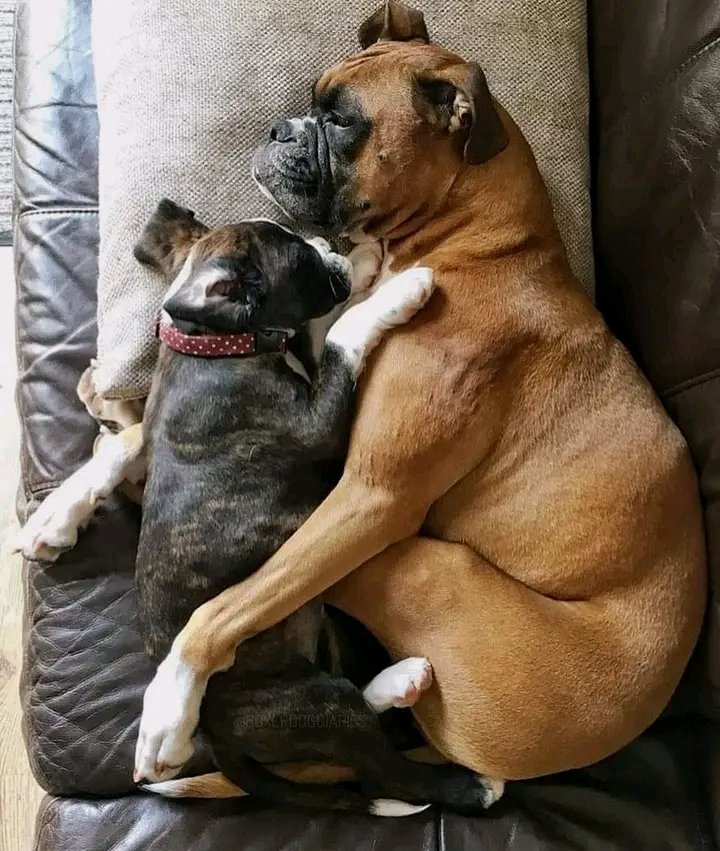 Great Photography ❤️🥰