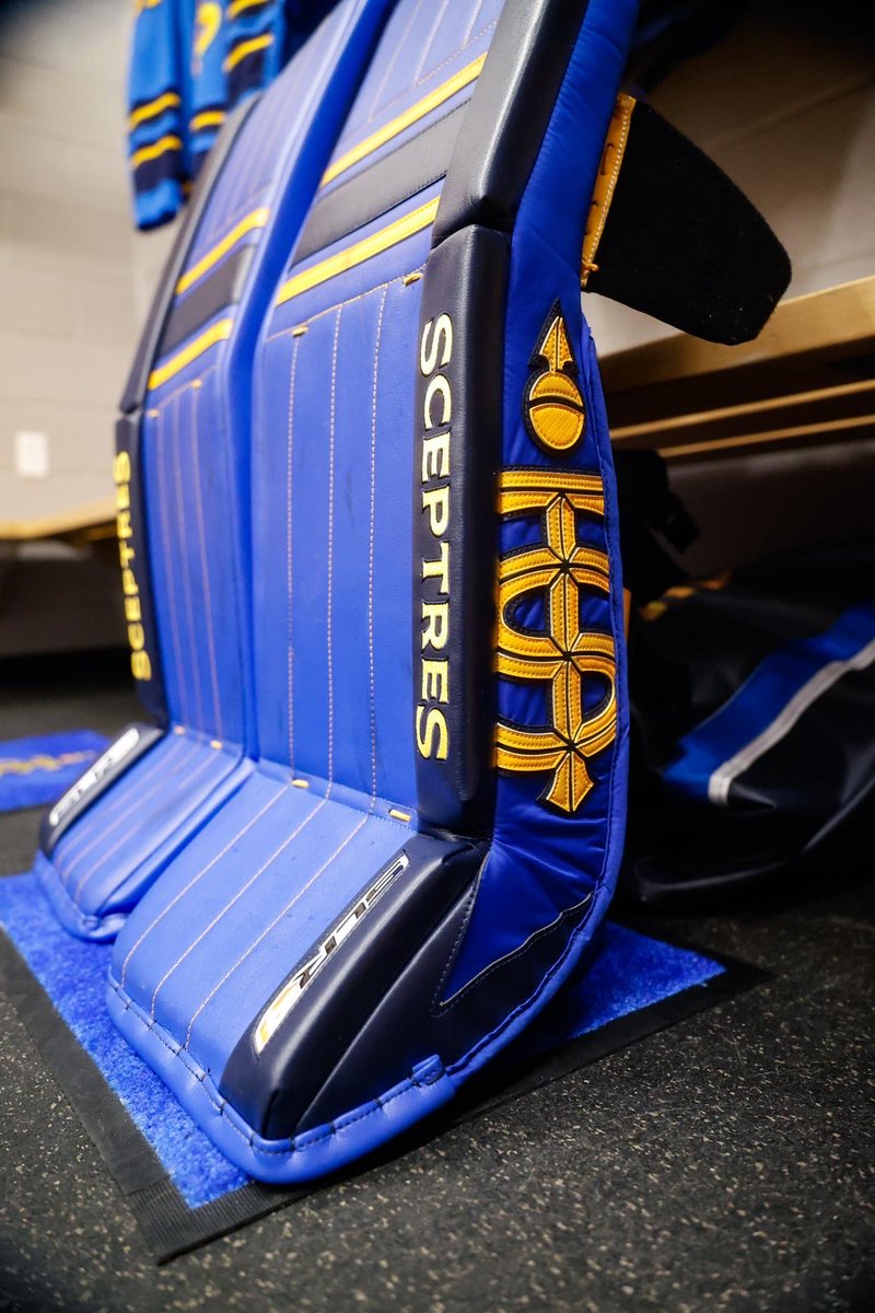 Toronto Sceptres tweet media