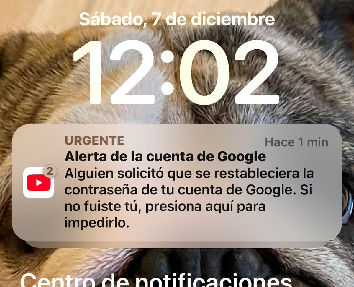 Juncal Solano tweet media