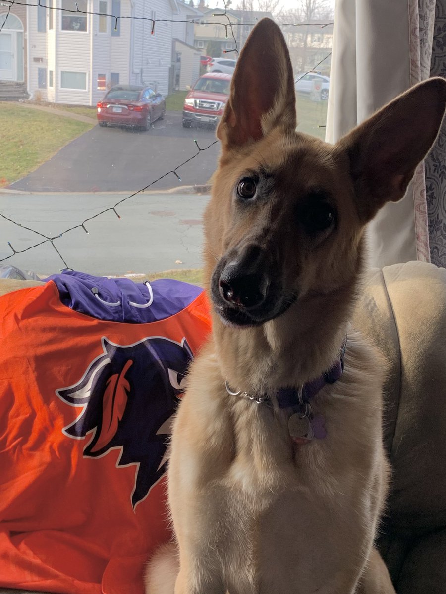 It’s our first game of the season and the #Thunderdog is pumped!  #GoBirdsGo <a href="/HFXThunderbirds/">Halifax Thunderbirds</a> <a href="/NLL/">NLL</a>