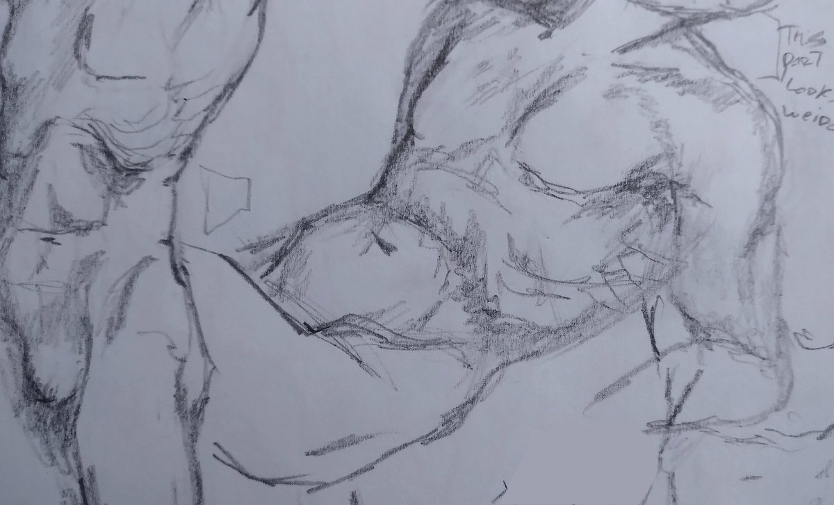 Hask4_00's tweet photo. studying anatomy... https://t.co/5IzkLSQGlm
