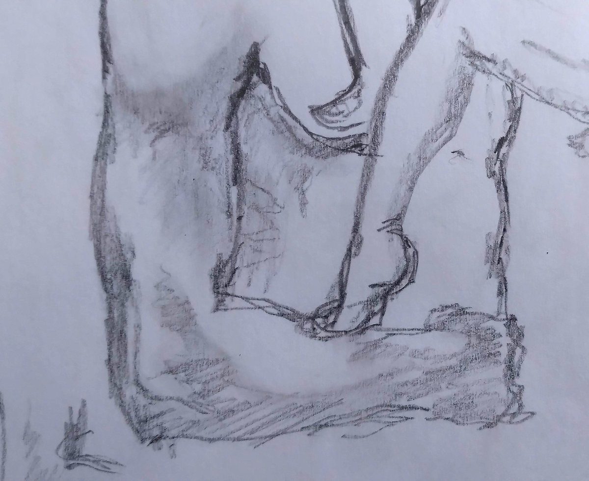 Hask4_00's tweet photo. studying anatomy... https://t.co/5IzkLSQGlm
