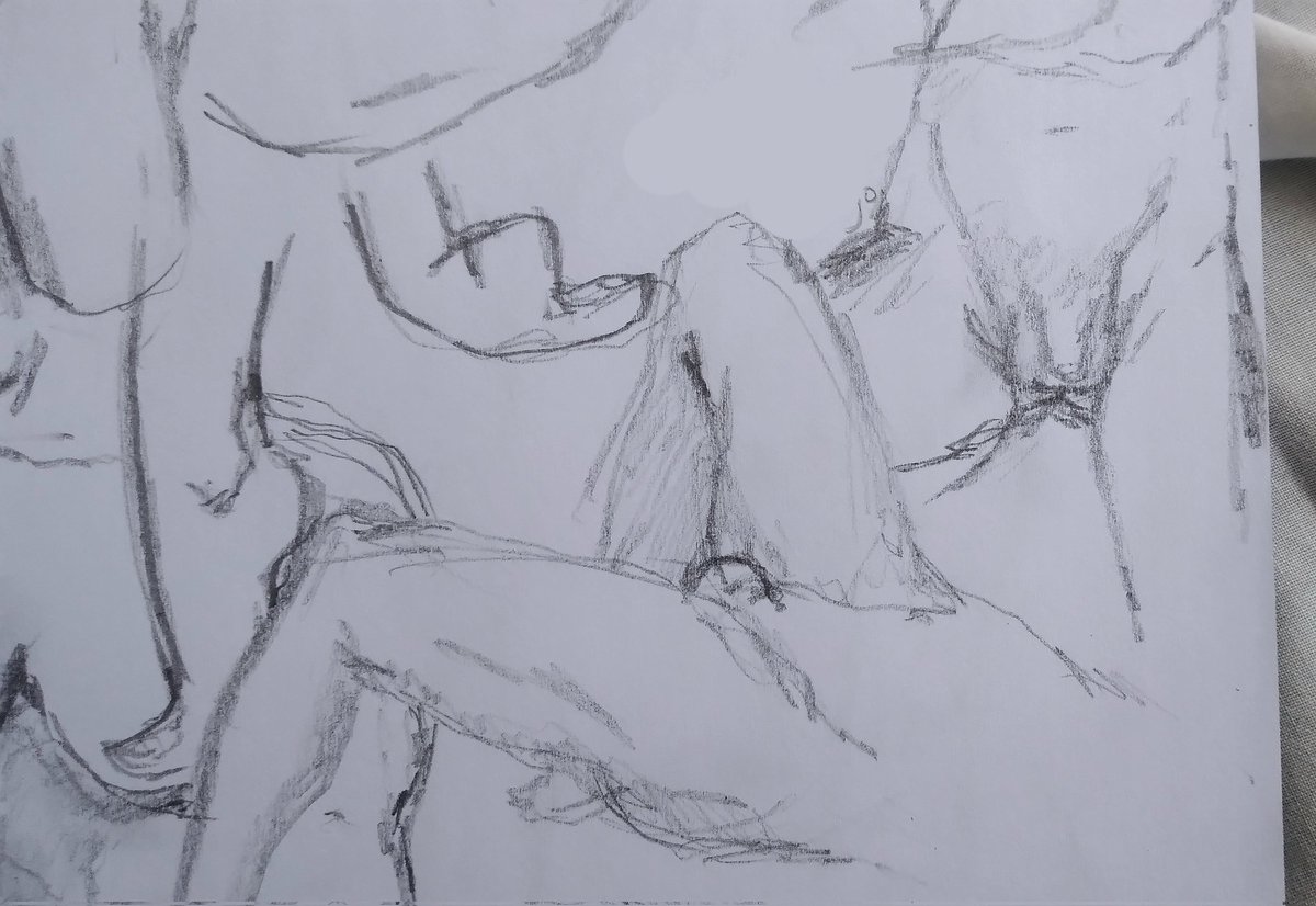 Hask4_00's tweet photo. studying anatomy... https://t.co/5IzkLSQGlm