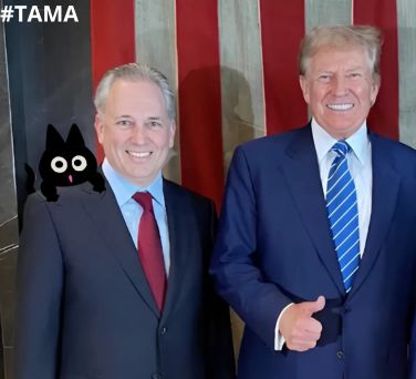 Tamacatxyz's tweet photo. $TAMA  $SOL   Moon 🚀🌕
@solana  @DavidSacks https://t.co/KZbgXAvZnt