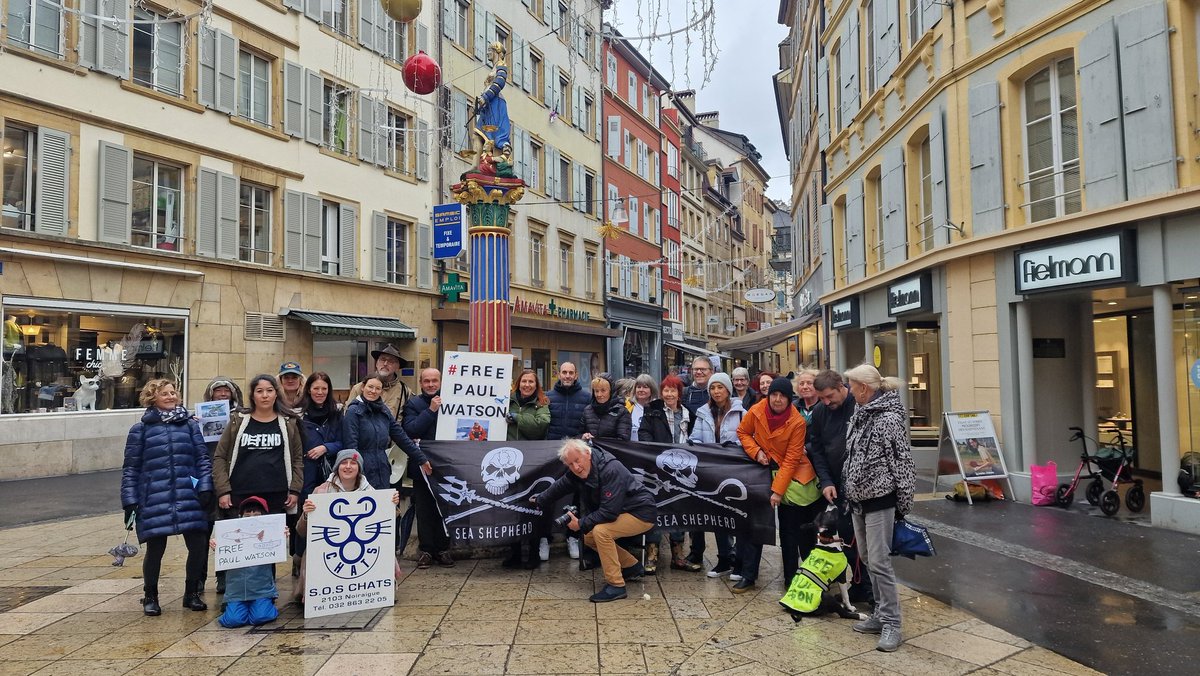 Tomi  Tomek tweet media