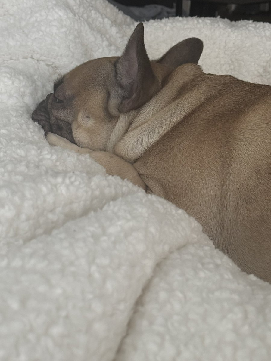WittleWonton's tweet photo. I sleep with @wittlebears every night. https://t.co/HhcpfVGhPy