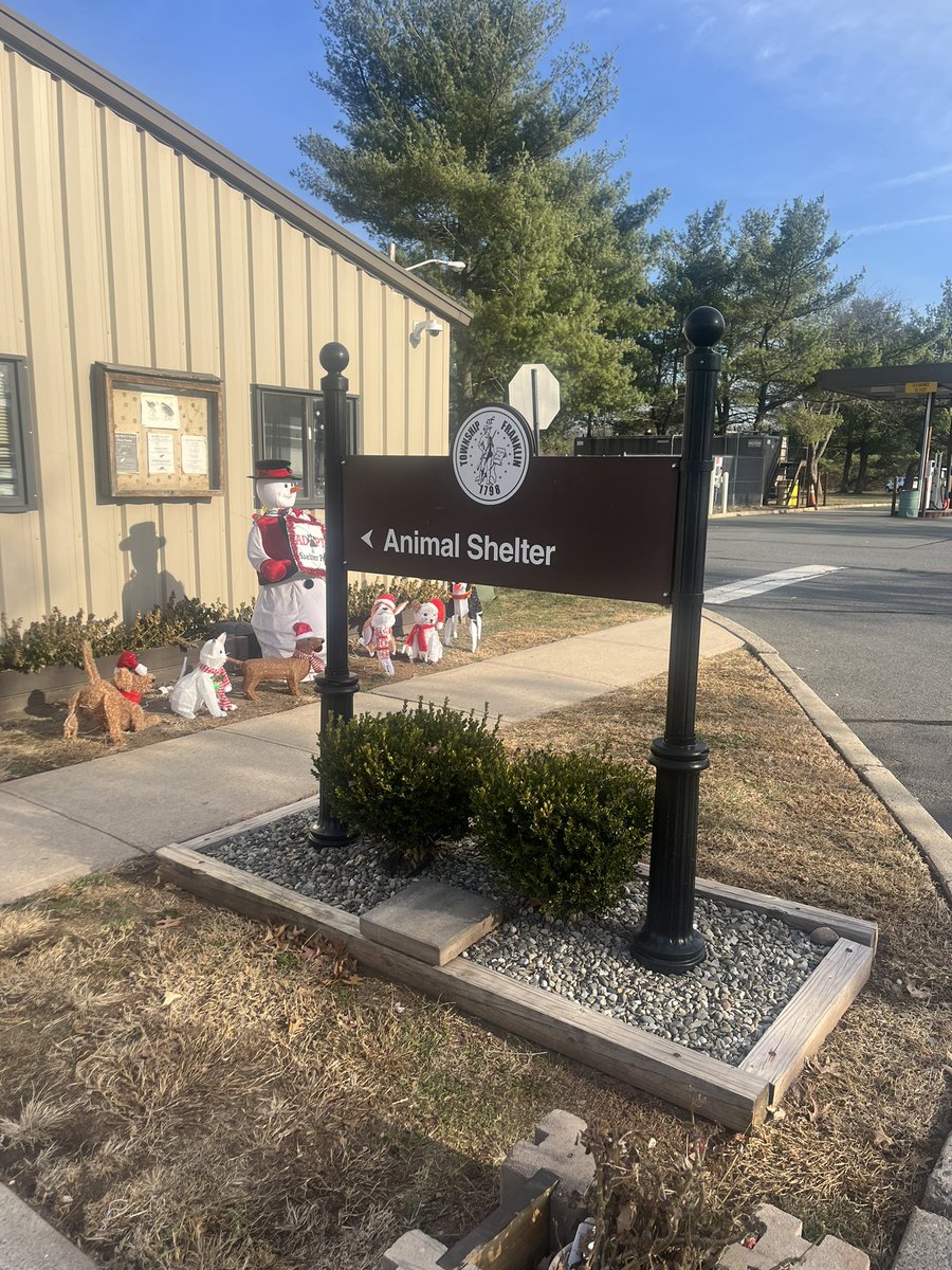 Renee Hales tweet media