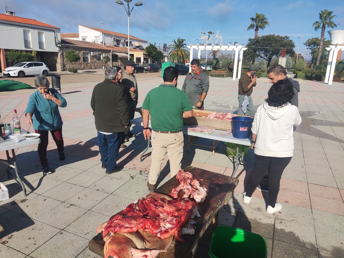 HOY Guareña tweet media