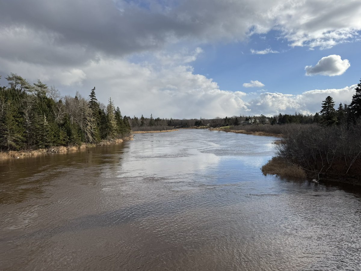 Hubble_BTerrier's tweet image. It was a frosty walk today on the #MusquodoboitTrail. But that didn’t bother me and Koda at all. 😃🐾🐾🐾 #NSTrails #BTPosse