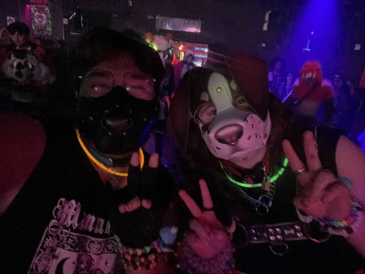 PothosPup's tweet photo. Dogs first rave!! 🐾🪩

hood: @GrungeBunnyGear 

#petplay #humanpuppy #humanpup #humanpupplay #humanpuppyplay #puppygirl #kamonomimi #doggirl #furry #furryrave #rave https://t.co/BjC85Wuy9q